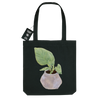 Grow Baby Black Recycled Organic Tote Bag