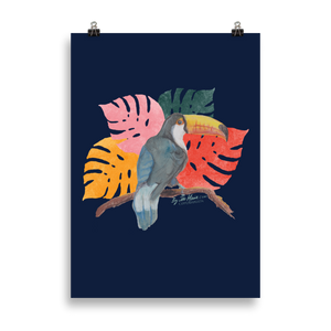 Toucan Dance Poster