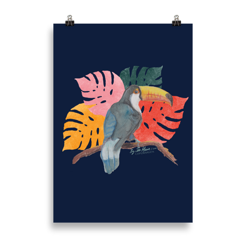Toucan Dance Poster