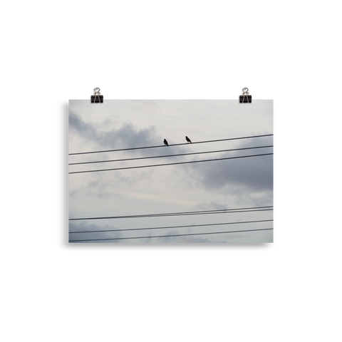 Birds on a Wire Poster