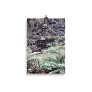 Stones and Ferns Poster