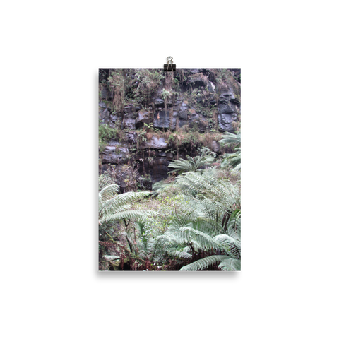 Stones and Ferns Poster
