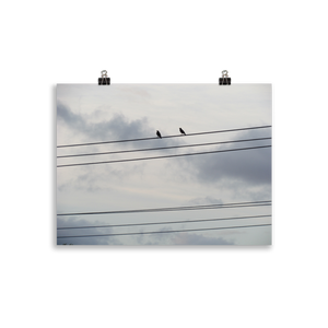 Birds on a Wire Poster