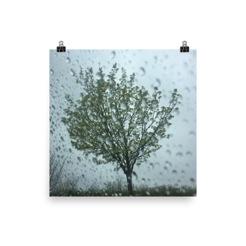 Rain and Tree Poster
